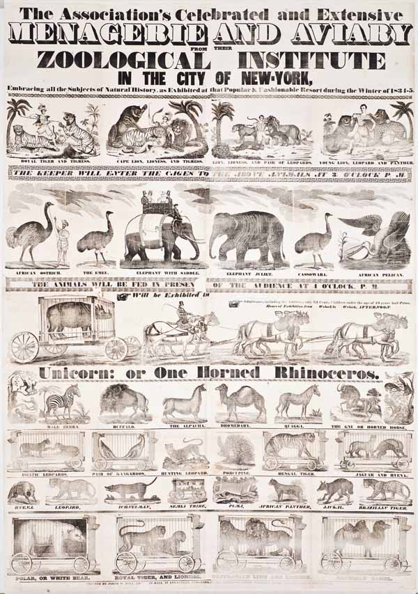 The Association’s Celebrated and Extensive Menagerie and Aviary / Zoological Institute