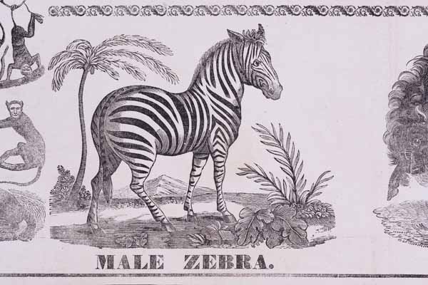 The Association’s Celebrated and Extensive Menagerie and Aviary / Zoological Institute