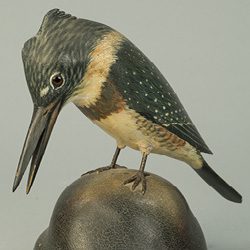 kingfisher
