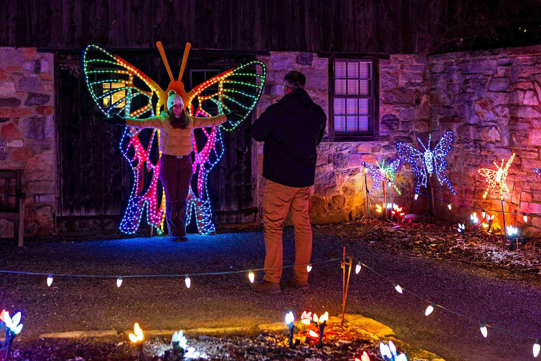 Winter Lights Butterfly