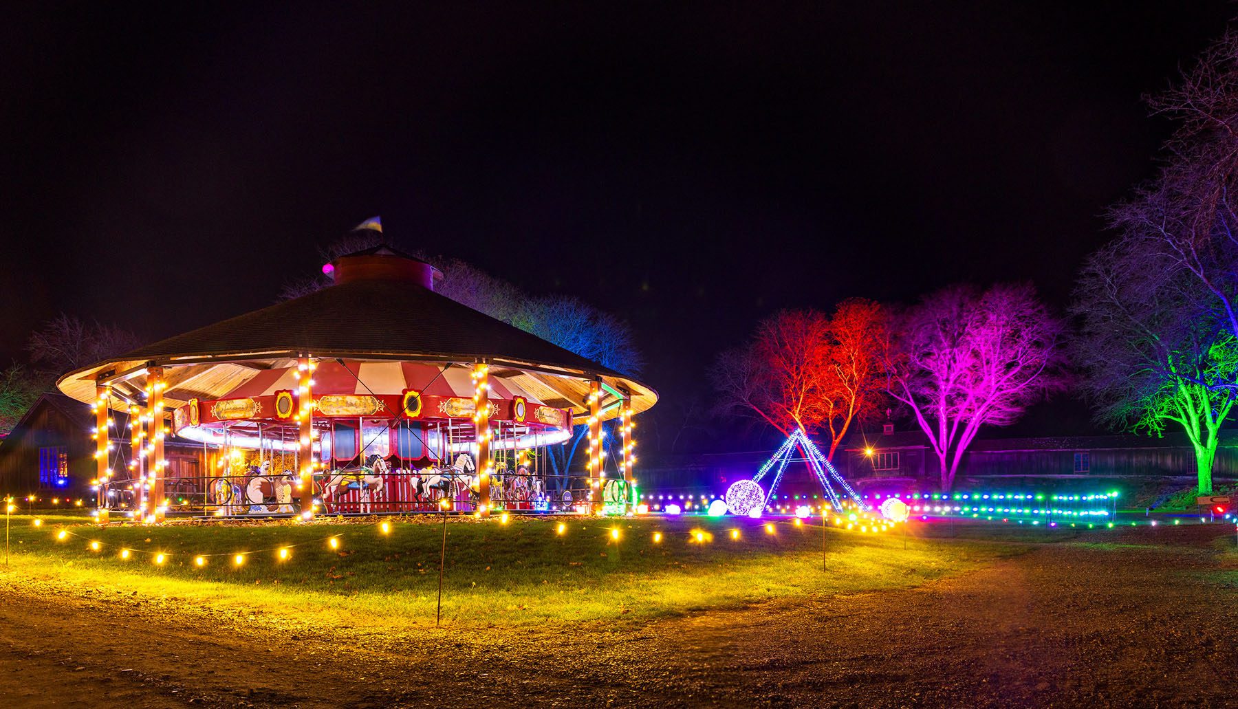 Winter Lights Carousel
